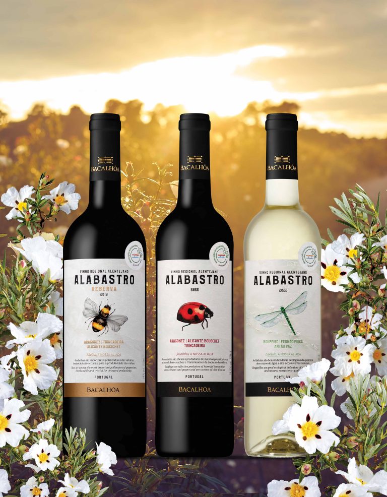Vinhos Alabastro conquistam certificação de produção sustentável e realçam imagem