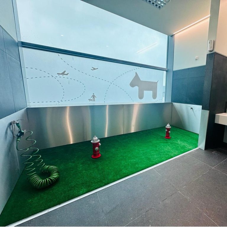 WC Aeroporto de Lisboa para animais de estimação