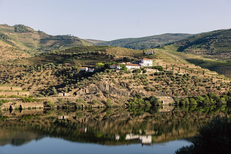 Cinco grandes vinhos da Quinta da Boavista