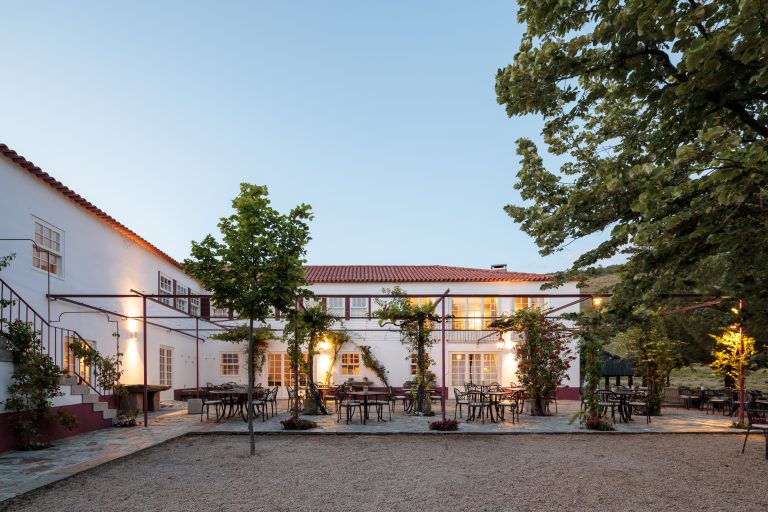 Aeternus e Mirabilis duas joias no mundo dos vinhos