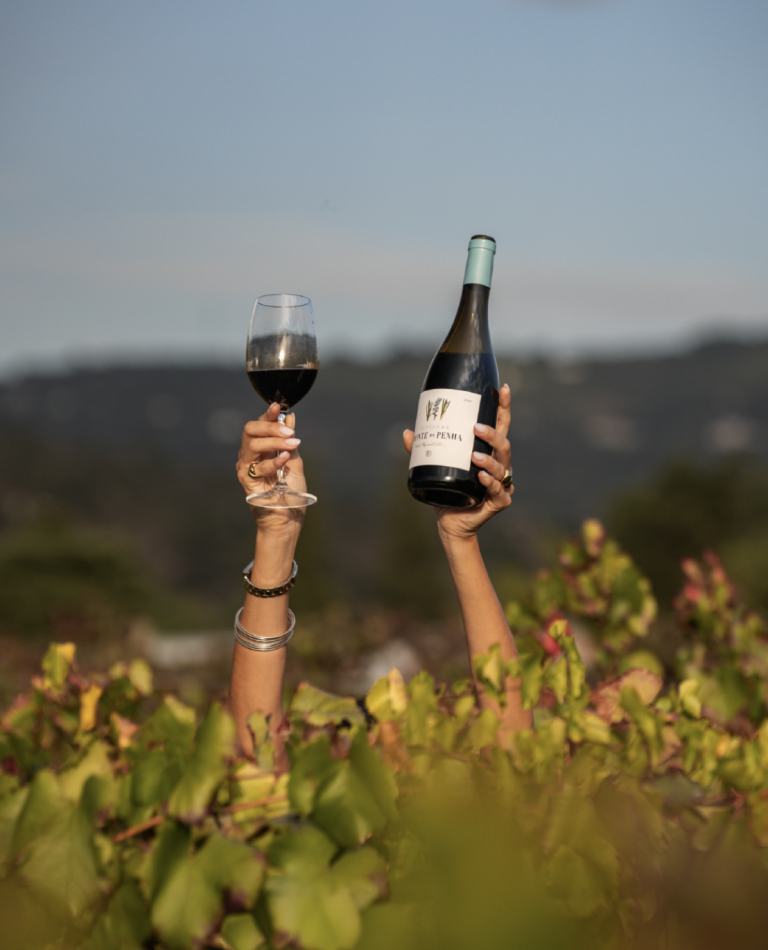 Monte da Penha, os vinhos de Portalegre que melhoram com a idade