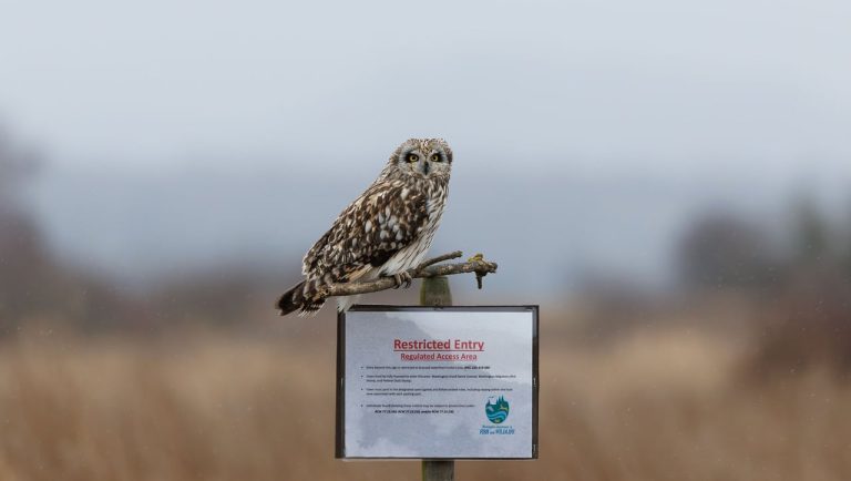 Porque é que “simplificar” leis ambientais pode afetar a saúde, a segurança e o dia a dia de todos