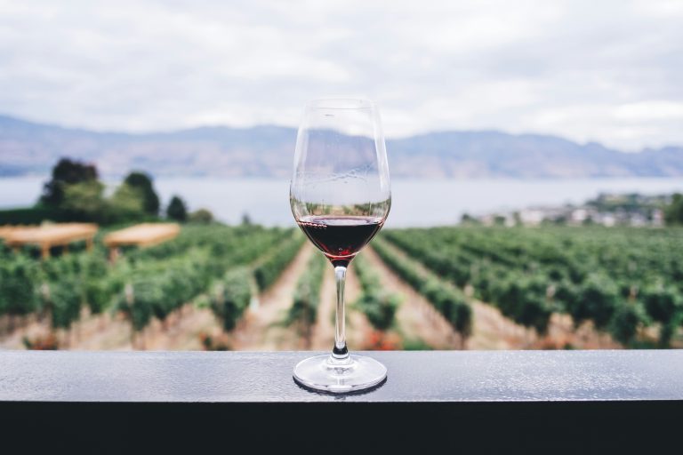 Francisco Gonçalves e os seus vinhos Mont’Alegre