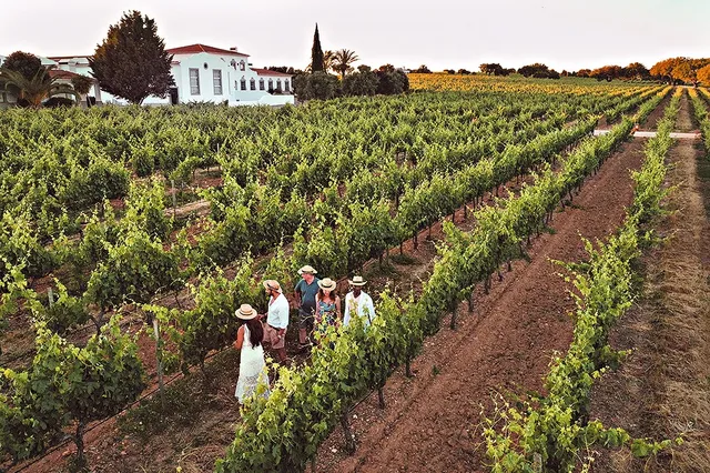 “Provar é Saber”: Vinhos do Alentejo lançam conceito que une vinho, gastronomia e território